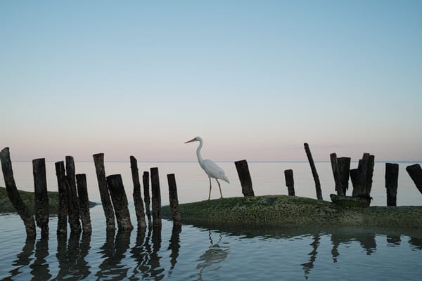 Not just a model photographer